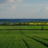 Fields near Wilburton (copyright Gareth Ridewood)