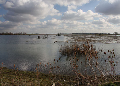 The Ouse Washes - geograph.org.uk - 1189086.jpg" by Bob Jones 