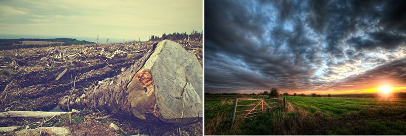 British Countryside