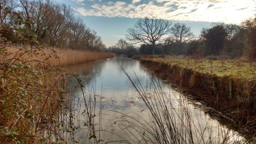 Autumn Scene - Copyright Jane Williams